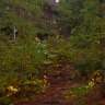 The Path Back To The Cabin